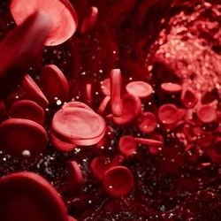 Blood cells